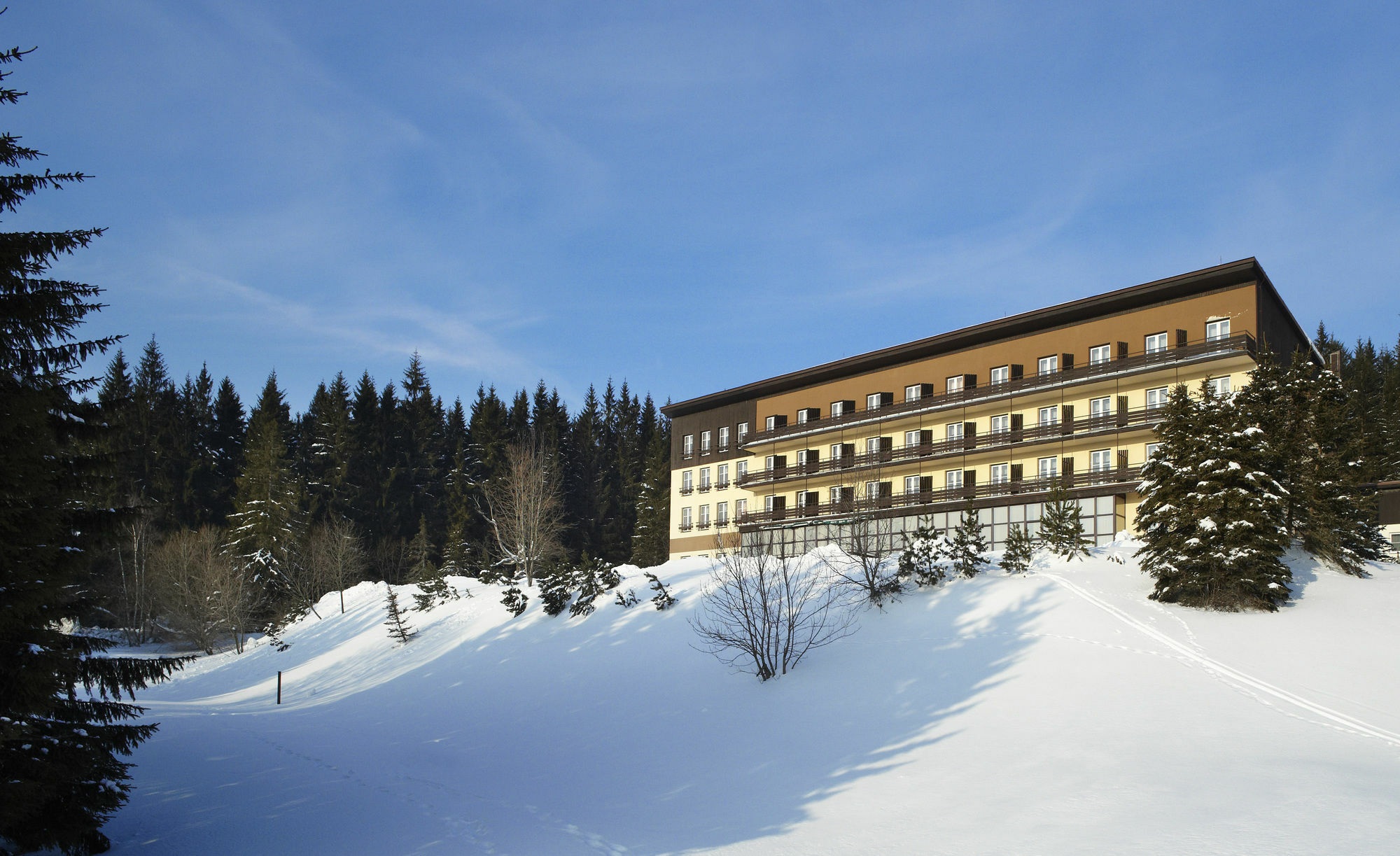 Orea Hotel Spicak Sumava Zelezna Ruda Exterior photo